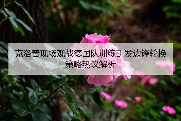 克洛普现场观战德国队训练引发边锋轮换策略热议解析