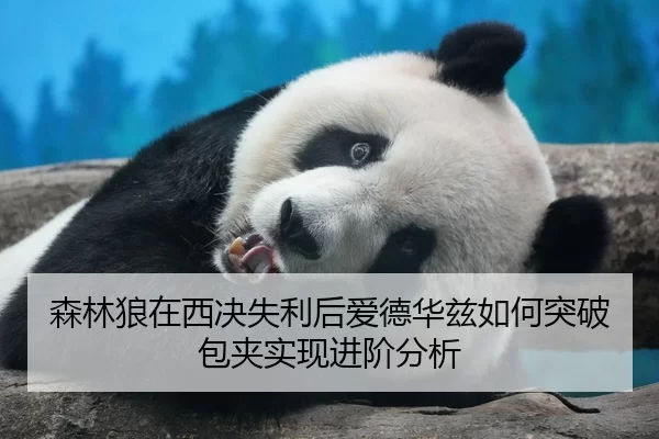 森林狼在西决失利后爱德华兹如何突破包夹实现进阶分析