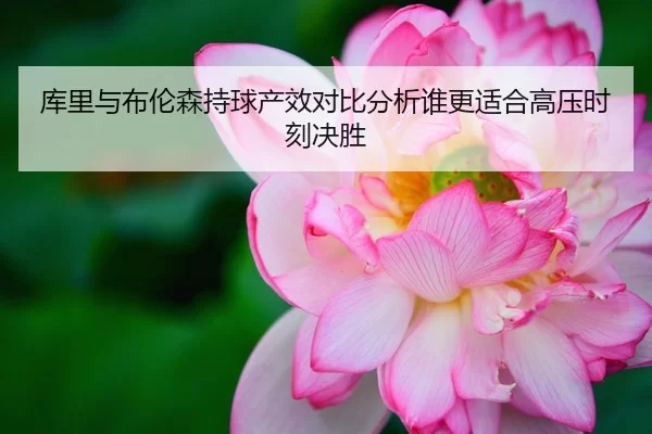 库里与布伦森持球产效对比分析谁更适合高压时刻决胜