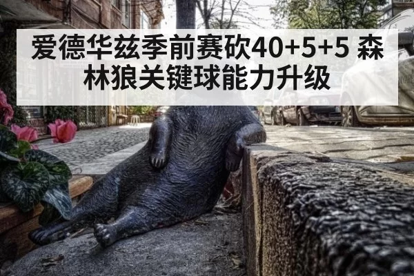 爱德华兹季前赛砍40+5+5 森林狼关键球能力升级